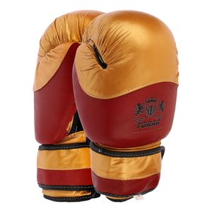 دستکش بوکس تورج  مدل fiter pro 2026